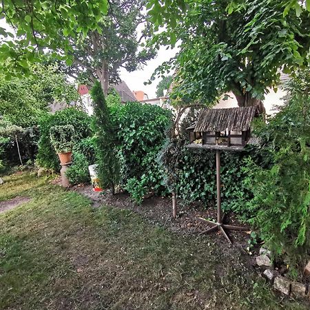 Kwatery U Zisi Miedzyzdroje Exteriör bild
